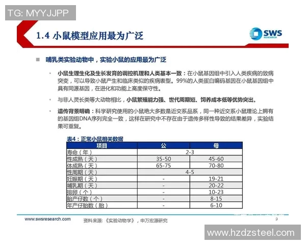北京乒乓球队速度分析与提升策略的深度探讨与研究